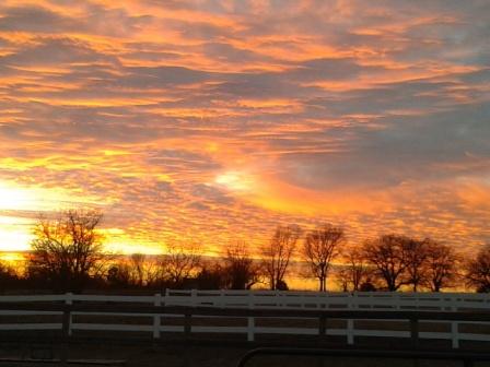 sunset over horse areana